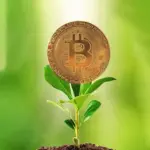 Ecofriendly cryptocurrency