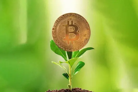 Ecofriendly cryptocurrency